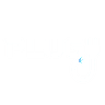 Plugy